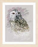 PN-0183826 Snowy Owl (Lanarte)